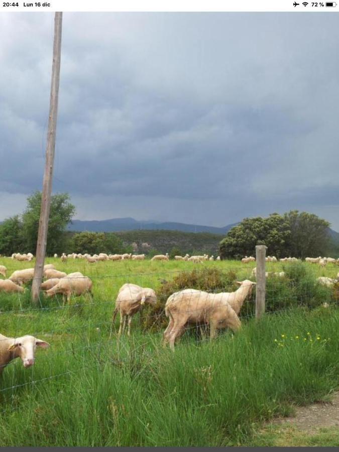 Vistas A La Montana En Un Pueblo Con Encanto. El Pueyo de Araguás Zewnętrze zdjęcie
