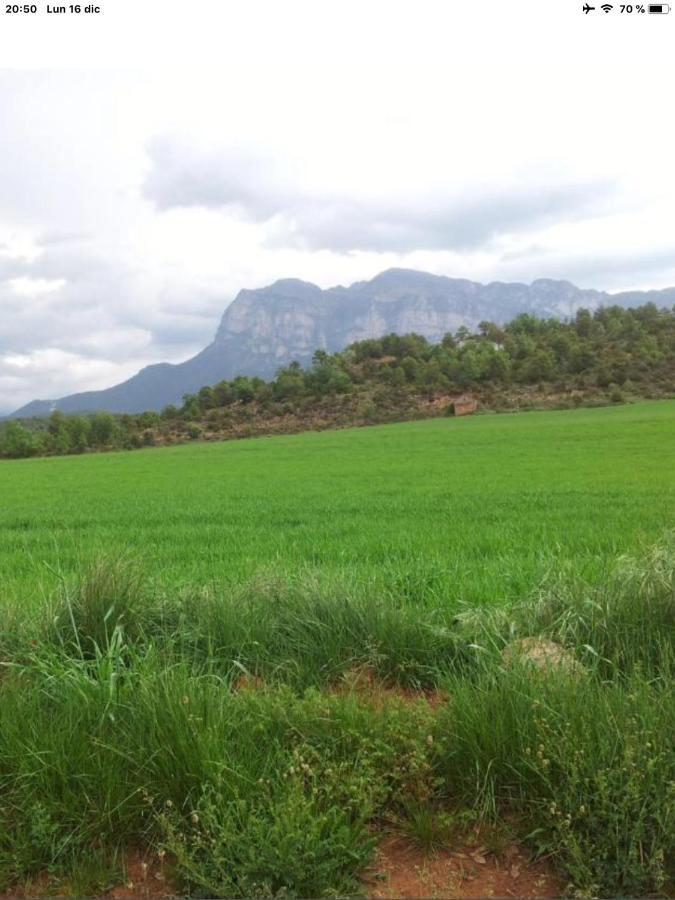 Vistas A La Montana En Un Pueblo Con Encanto. El Pueyo de Araguás Zewnętrze zdjęcie