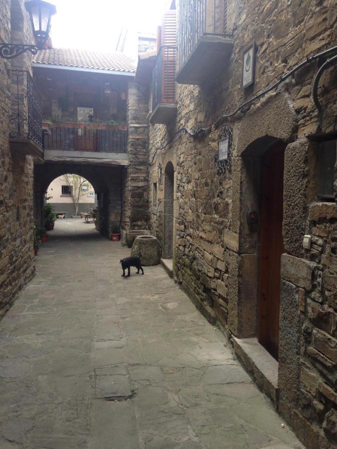 Vistas A La Montana En Un Pueblo Con Encanto. El Pueyo de Araguás Zewnętrze zdjęcie